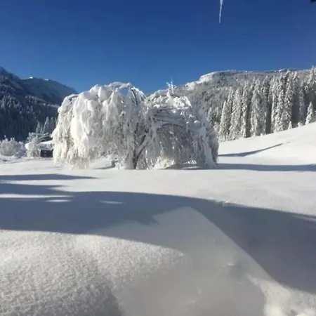 Διαμέρισμα 2 Am Auweg *