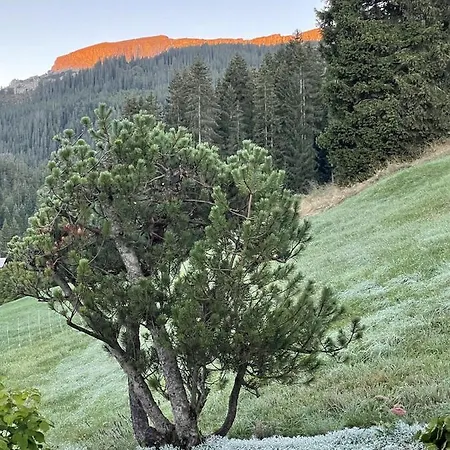 2 Am Auweg * Hirschegg (Vorarlberg)